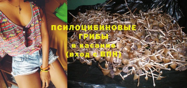 спиды Новодвинск
