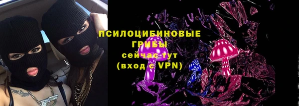 ешки Аркадак
