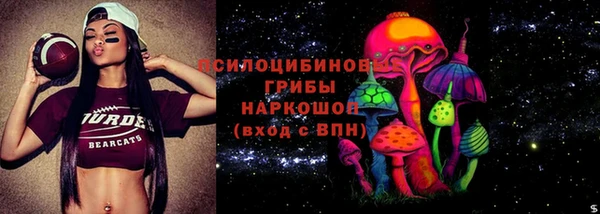 ешки Аркадак